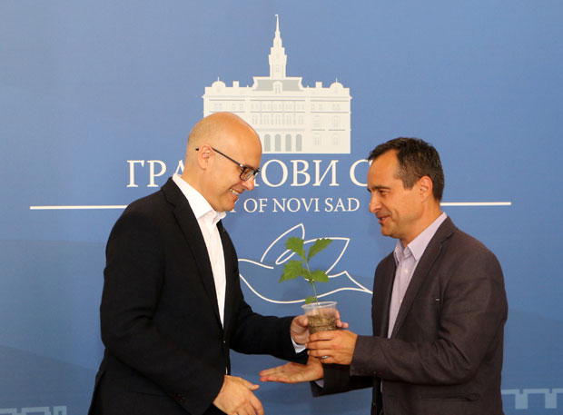 Неопланта богатија за 82.000 садница: Резултат би био још импресивнији да корона није успорила озелењавање